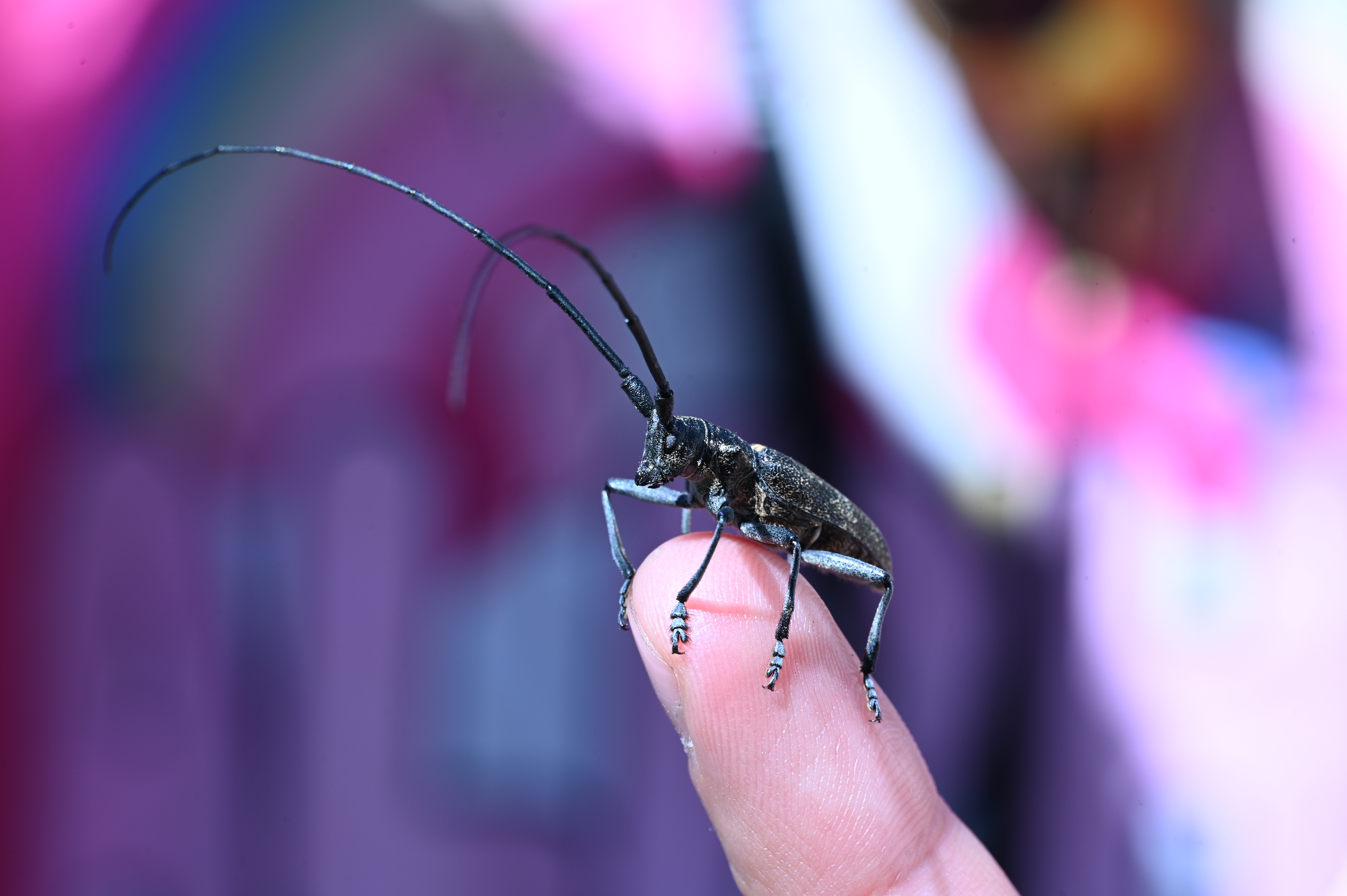 2025/07/09-14 - trip/DSC_0137.JPG